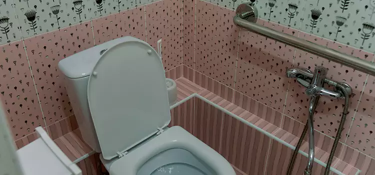 Meeting Diverse Needs With Accessible Restroom Solutions in West Springfield, VA