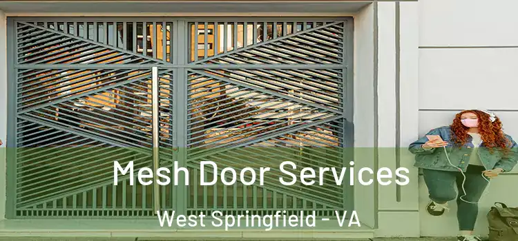 Mesh Door Services West Springfield - VA