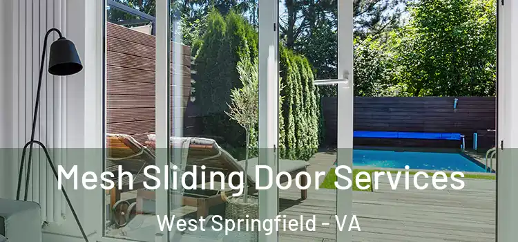 Mesh Sliding Door Services West Springfield - VA
